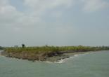 Sunderban Tour